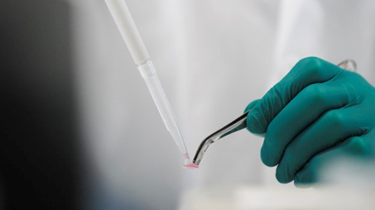 Forskare i labbkläder gör arbete med pipett och provrör. 