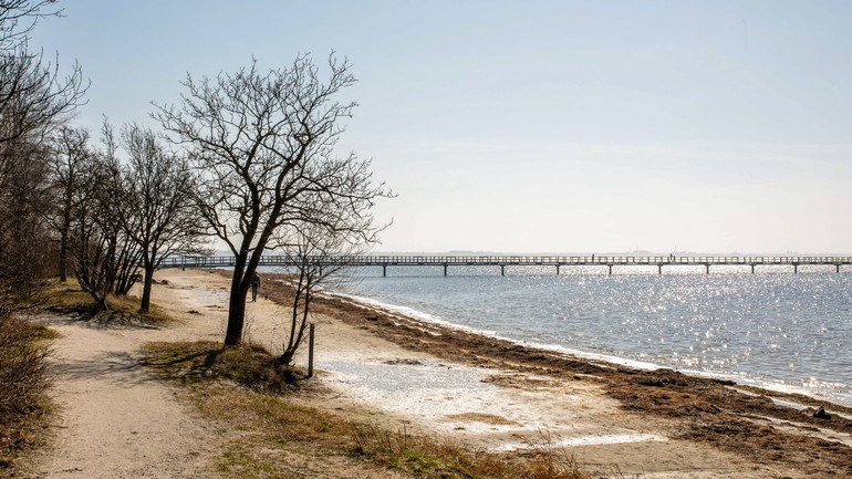 Strand på hösten.