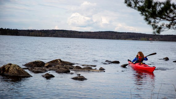 Paddling i naturen.
