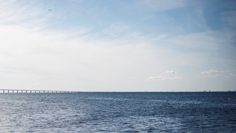 Människor badar i havet vid Ribersborg. I bakgrunden syns öresundsbron.