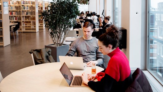 Böcker och artiklar online