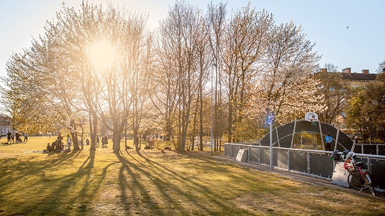 Enskifteshagen Malmö