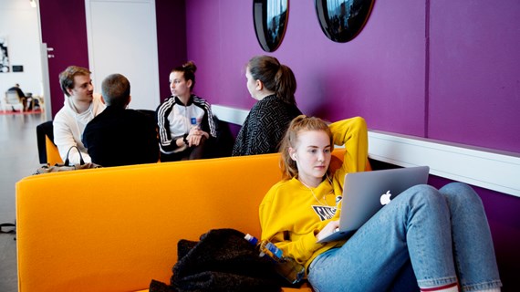 studenter studerar enskilt tillsammans, avslappnat, lila , orange , laptop