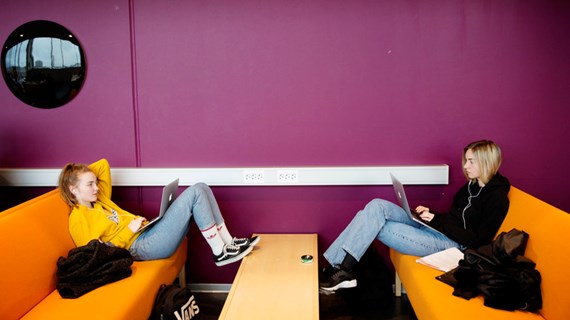 studenter studerar enskilt tillsammans, avslappnat, lila , orange , laptop