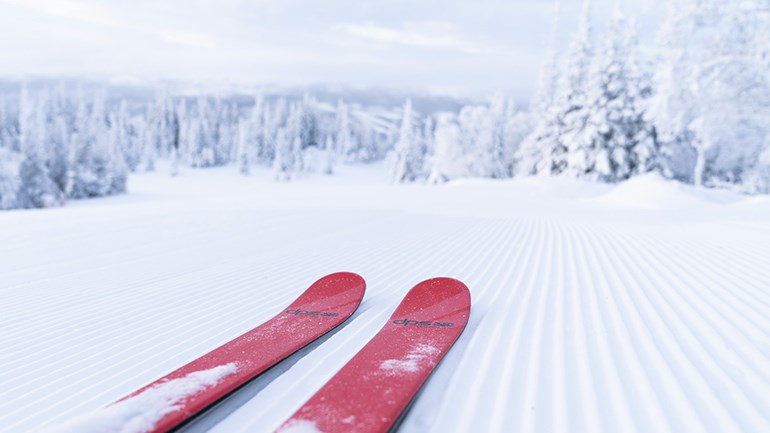 Skis in a slope.