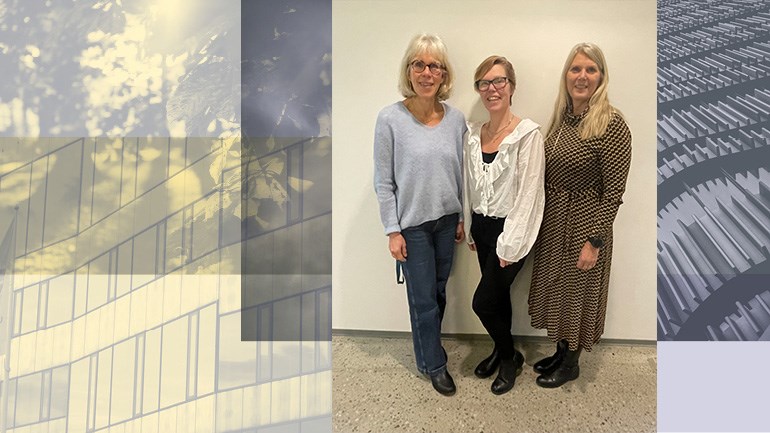 Elisabeth Carlson, professor i vårdvetenskap, professor Christine Kumlien och biträdande universitetslektor Marie-Louise Möllerberg.