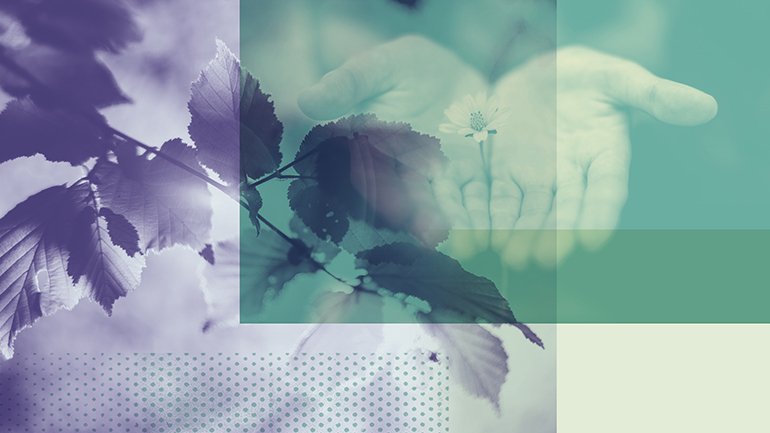 Bild för Mindfulness