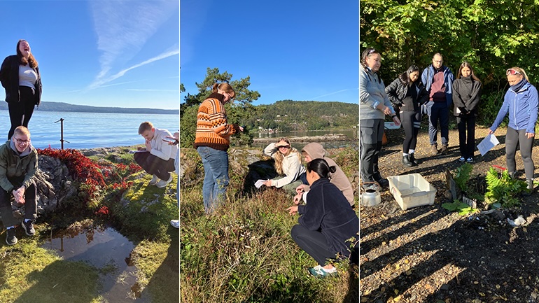 Studenter på Malmö universitet på exkursion inom ämnet biologi.