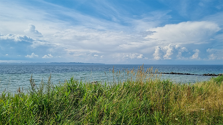 Hav och strand med gräs